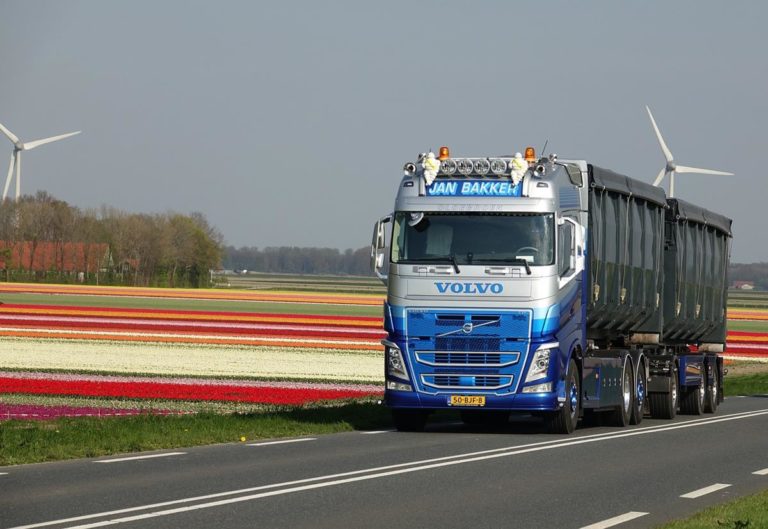 Samochody dostawcze i ciężarowe Iveco